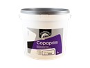 https://www.ez-catalog.nl/Asset/00d0b9edcd1f48c69103950a8276914f/ImageFullSize/COPAGRO-COPAPRIM-10L-CPRIM10.jpg