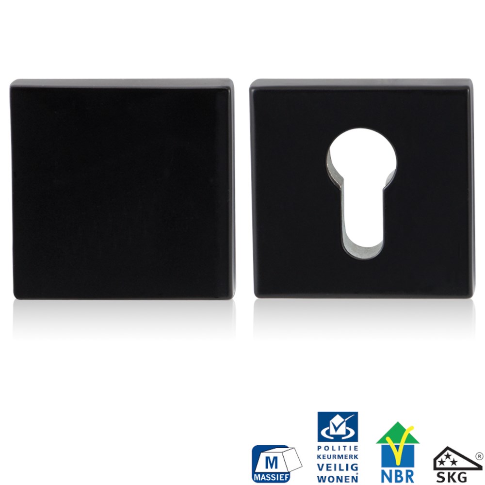 Smeedijzer zwart, Zwart, RVS, Blind, Ja, 10 mm, 55 mm, 55 mm, set, Charmant & rustiek, Nee, Veiligheidsrozet inclusief bevestiging voor deurdikte 40mm en 56mm GPF681660199.png