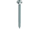 Heco Spaanpl.schr. 5.0x040 VERZ CK VD TX 44-8196-10.jpg