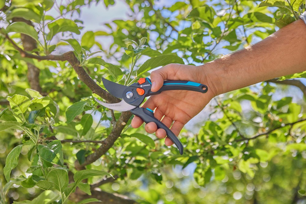 snoeischaar gardena-2 snoeischaar gardena-2