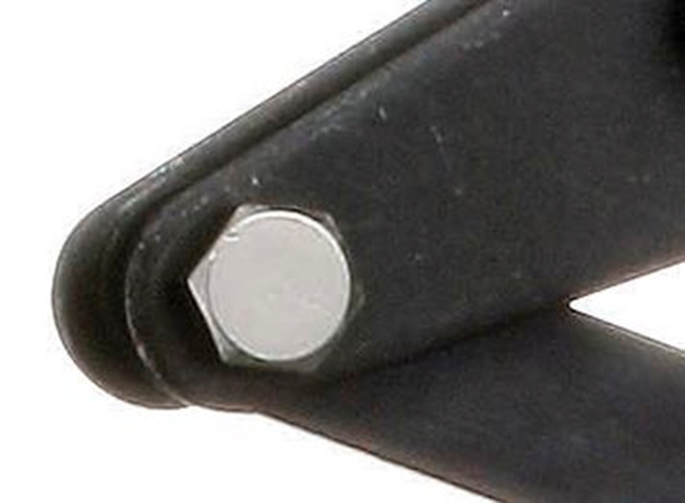 420096.jpg