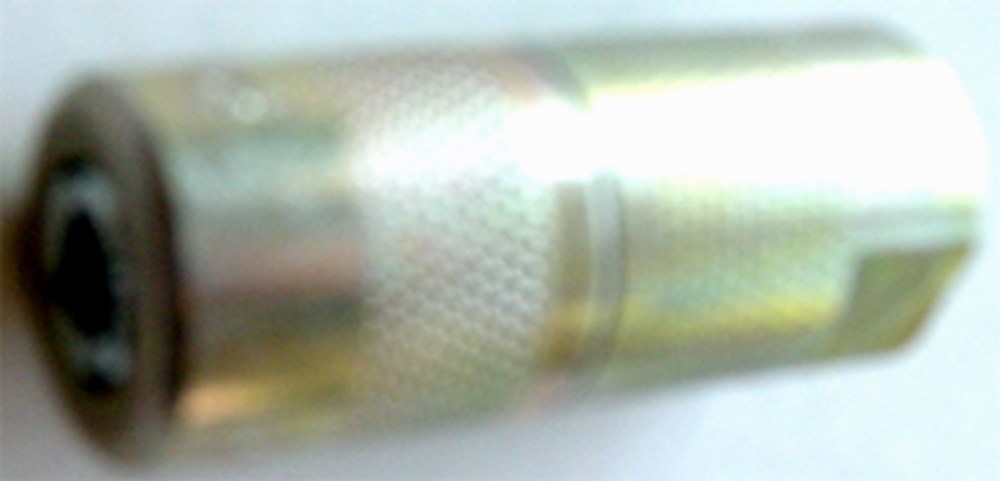 50912731.jpg