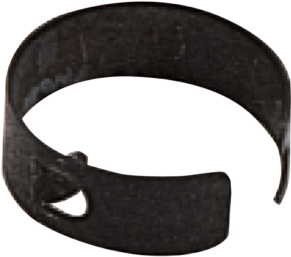 276_CEBM_F02.jpg
