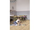 https://www.ez-catalog.nl/Asset/14d4828f664549bfaa381f144293cec2/ImageFullSize/PUCP40087-Interior01.jpg