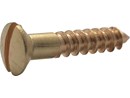 5535520.tif