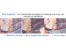 Stappenplan Voegklem.jpg