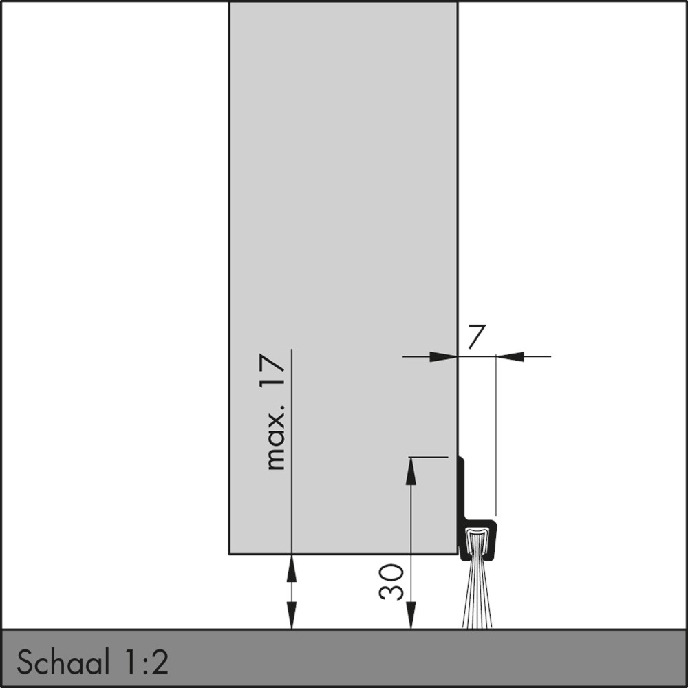 ibs 31.00.png