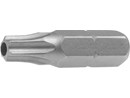 qwz118452.jpg