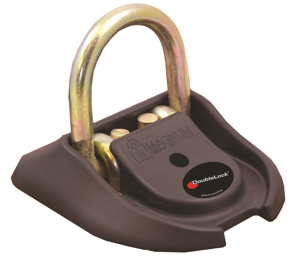 DoubleLock Dock Lock.jpg