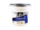 https://www.ez-catalog.nl/Asset/334d534a5b9c4334a3f4e07f8f20b98b/ImageFullSize/COPAGRO-COPACRYL-SOFT-10L-CCRYLVE10LME.jpg