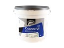 https://www.ez-catalog.nl/Asset/34f0ef53582c4ddb819dc8a8e4c7c46a/ImageFullSize/COPAGRO-COPACRYL-MAT-10L-CCRYLMA10LME.jpg