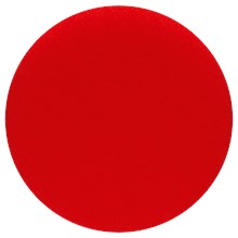 Polijstspons