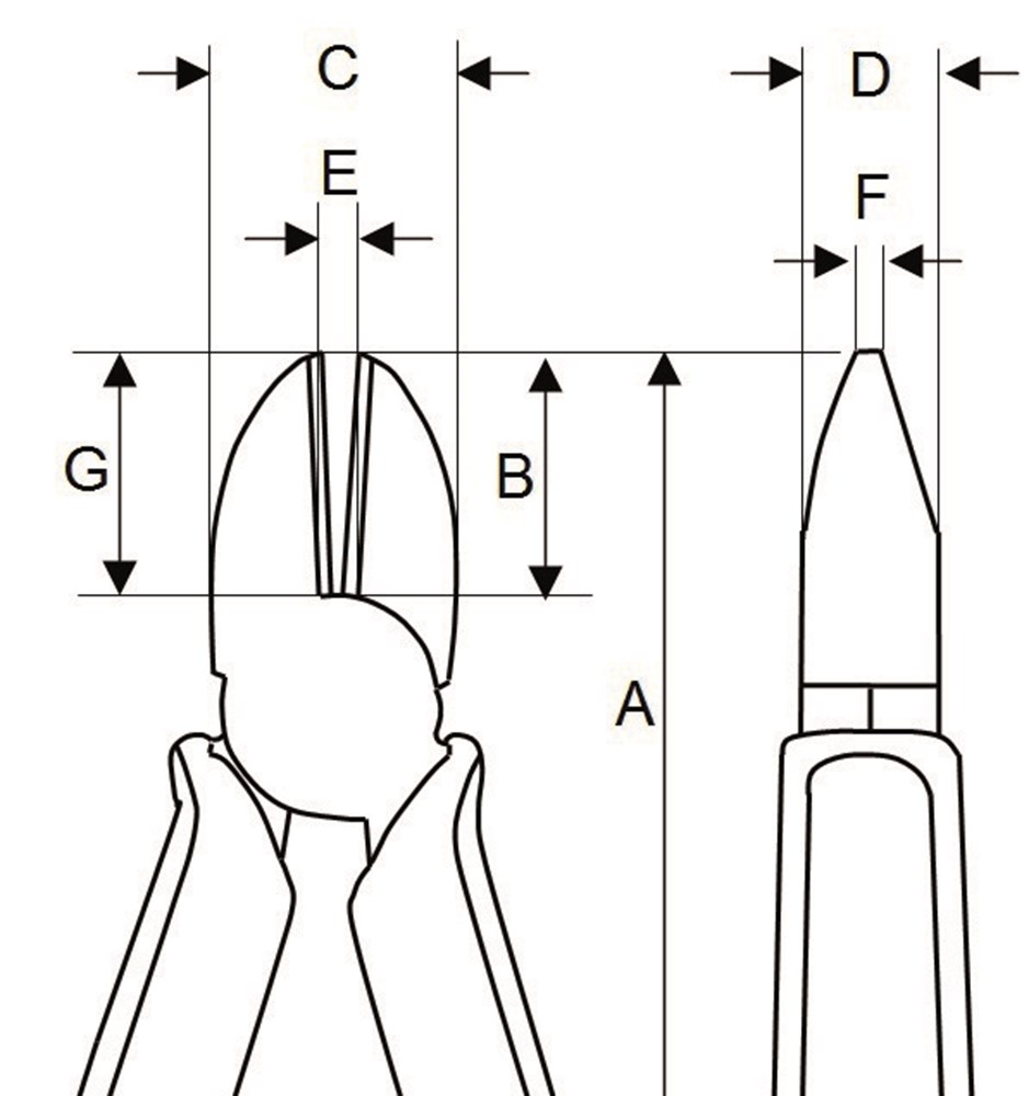 2171_l.jpg