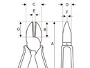 2171_l.jpg