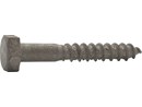 5511435.tif
