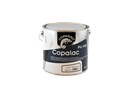 https://www.ez-catalog.nl/Asset/377f308d51b4486fa4007aa7c1594ea2/ImageFullSize/COPAGRO-COPALAC-PU-MAT-2-5L-CLMA2-5L.jpg