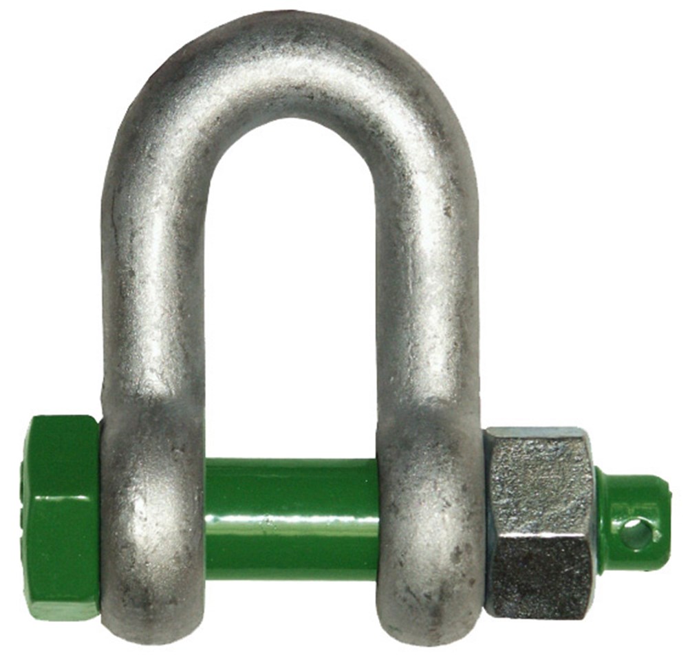 3014009.jpg