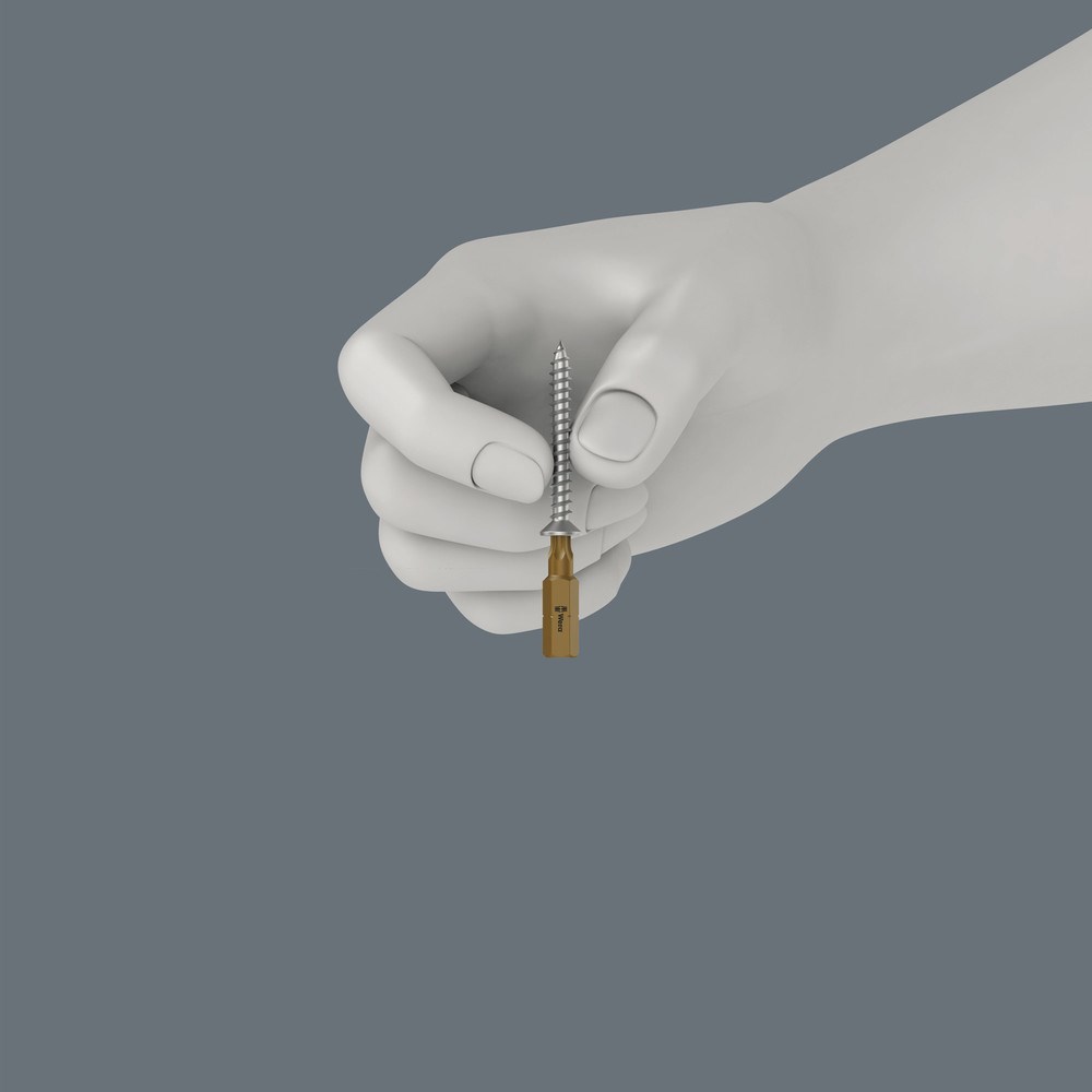 Torx_hf_tipp_bit_quad_2014.jpg