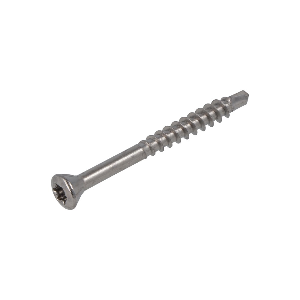 Vlonderschroef lenskop torx, rvs 410