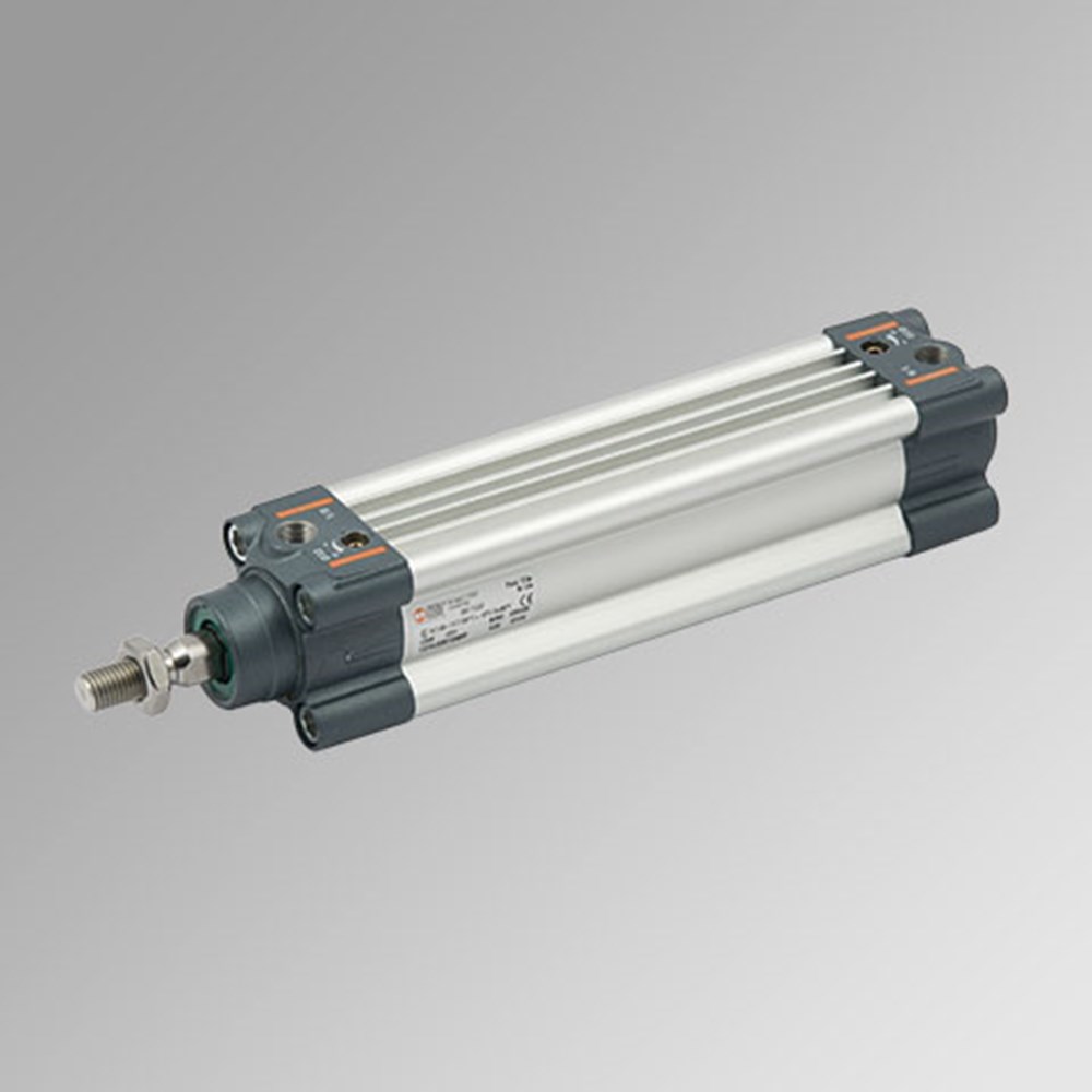 T3_FCAT01041.jpg