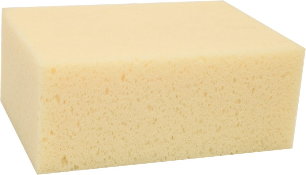Sponsen