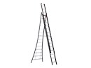 242314_8711563135536_ladder_nevada_reform_3_x_14_v_r.png