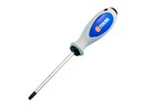 Ivana Schroevendraaier Torx TR