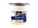 https://www.ez-catalog.nl/Asset/49cfae5e282445fbb8c9882d6bb746de/ImageFullSize/COPAGRO-COPACRYL-PLAFOND-10L-CCRYLPLAF10LME.jpg
