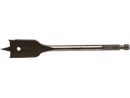 1515913_2.png