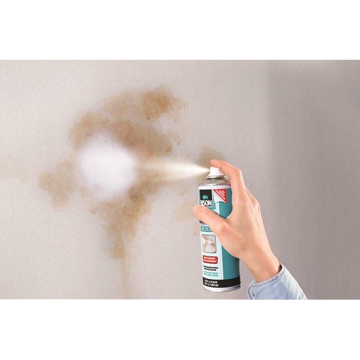 6309335 BS Wand&Klaar® Vlekkenspray Spuitbus 300 ml NL/FR