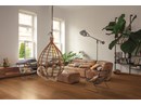 https://www.ez-catalog.nl/Asset/550d155094794af9a20c7022684abee2/ImageFullSize/SIG4760-Interior01.jpg