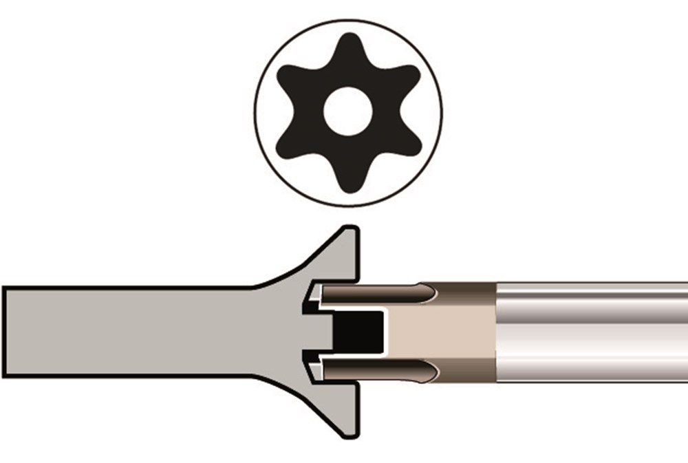 sbe_symb_torx_l.jpg