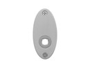 GPF Rozet 38mm ovaal RVS geborsteld GPF110003100.jpg