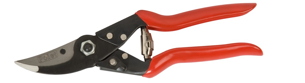 PP11005.jpg