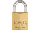 https://www.ez-catalog.nl/Asset/6024ee899c95420584789ab2473d3c1f/ImageFullSize/abus-75-30.jpg
