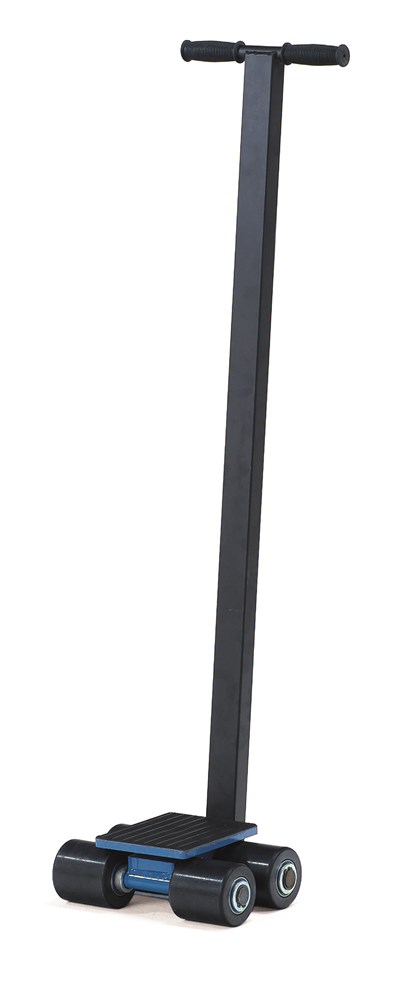 6956.jpg