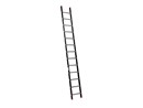 ALPINE enkele ladder 1x13 120113.jpg