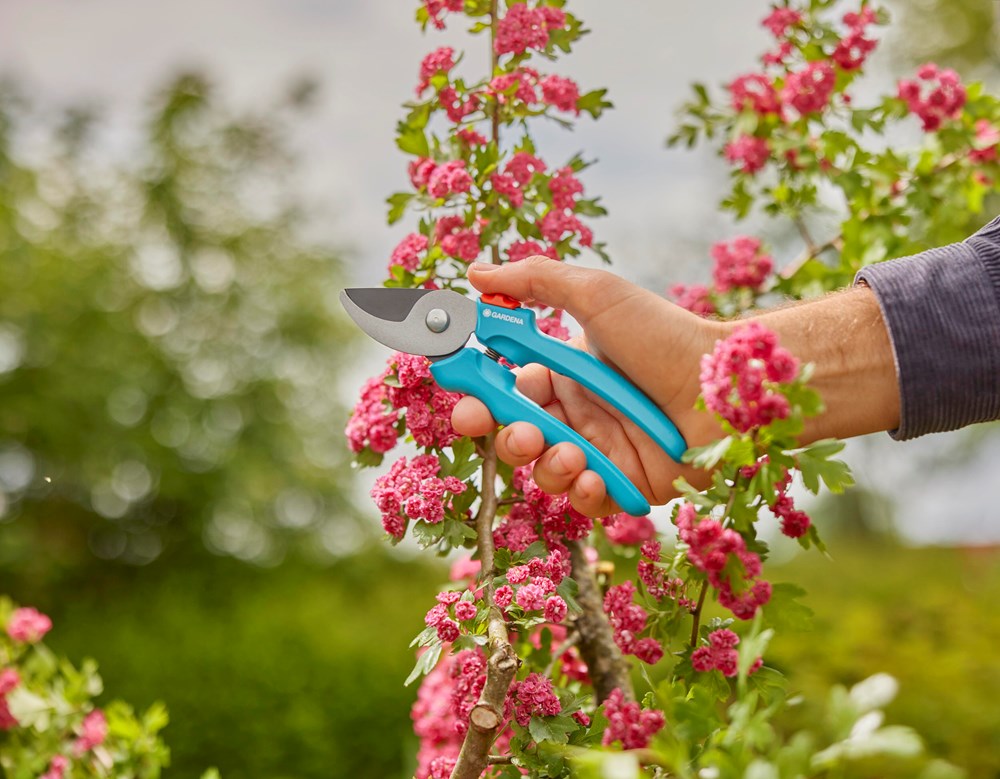 snoeischaar gardena-2 snoeischaar gardena-2