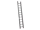 ALPINE enkele ladder 1x11 120111.jpg