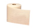 https://www.ez-catalog.nl/Asset/6c77eb5cd9ce47c9b9b9464af30d0f77/ImageFullSize/601679O-scotch-britetm-clean-and-finish-roll-type-f-white.jpg