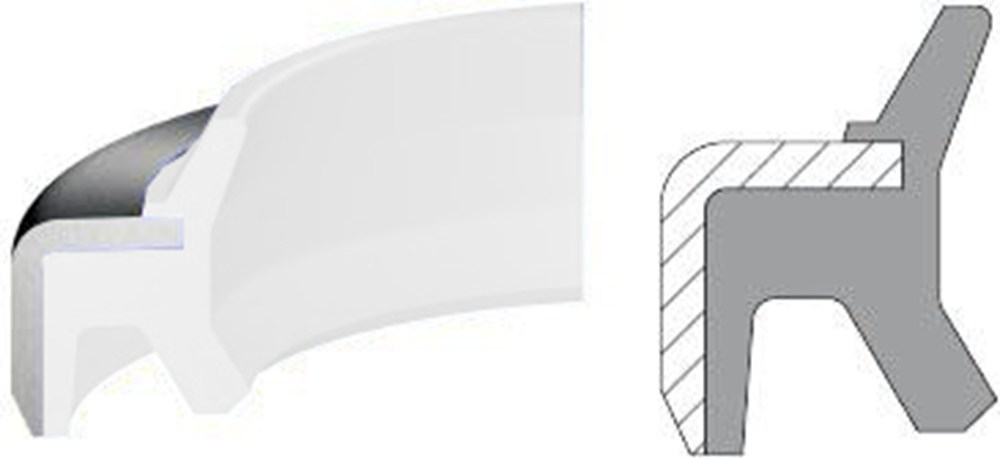6543866.jpg