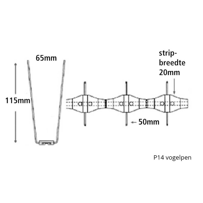 Vogelpinnen P14 maten