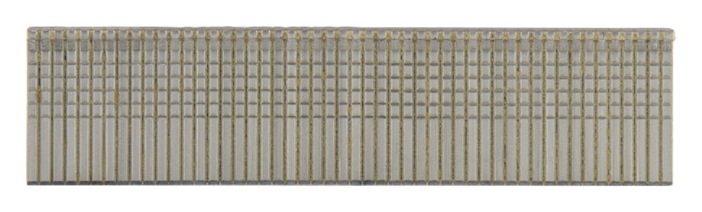 F-33906_C1C0.png