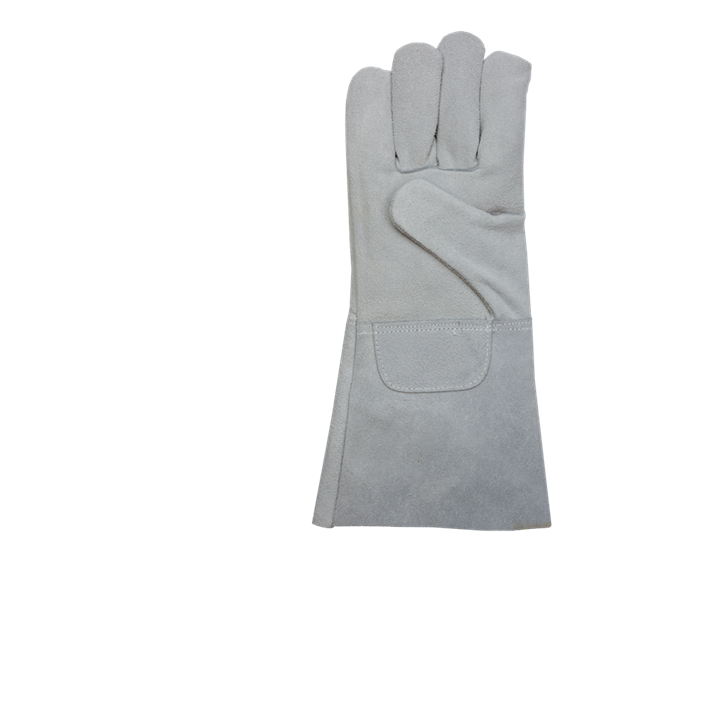 PSP 37-415_PALM