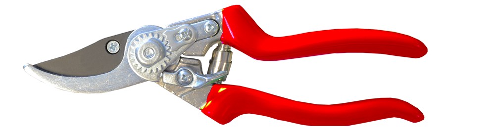 PP11010.jpg