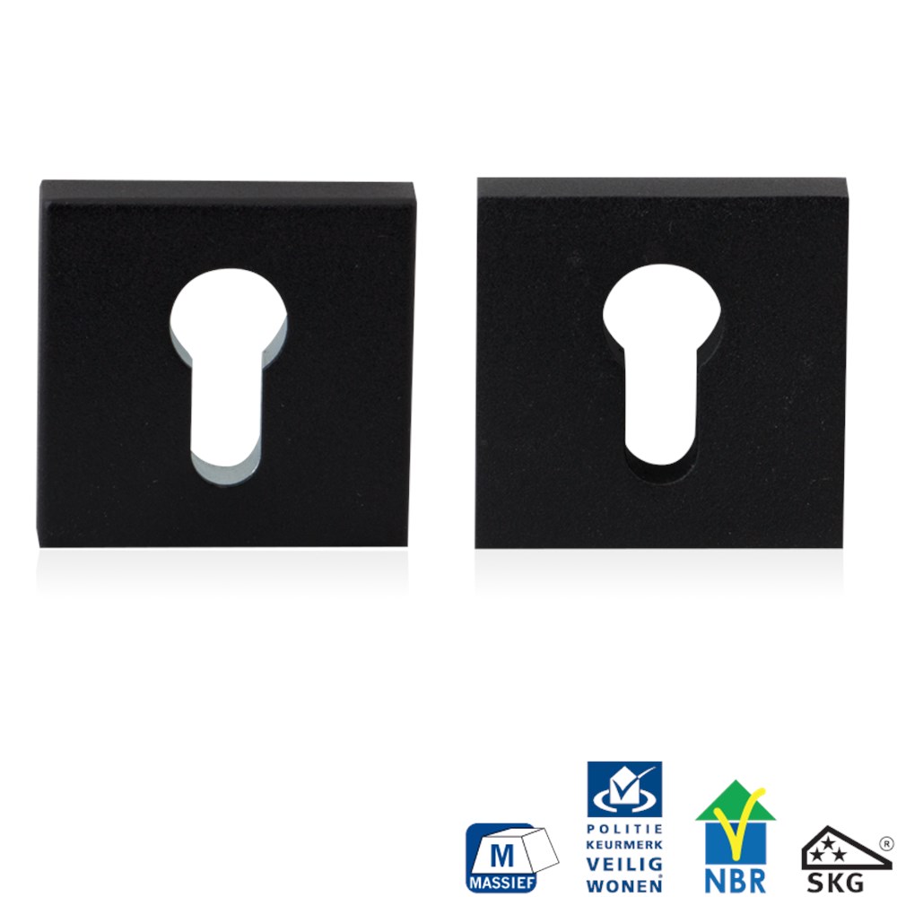 Zwart, Zwart, RVS, PC, Ja, 10 mm, 55 mm, 55 mm, RAL 9005, set, Modern, Nee, Veiligheidsrozet inclusief bevestiging voor deurdikte 40mm en 56mm GPF881561199.png