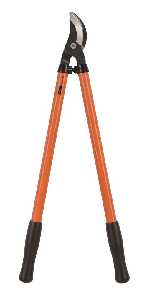 P140-F_wo_c.jpg