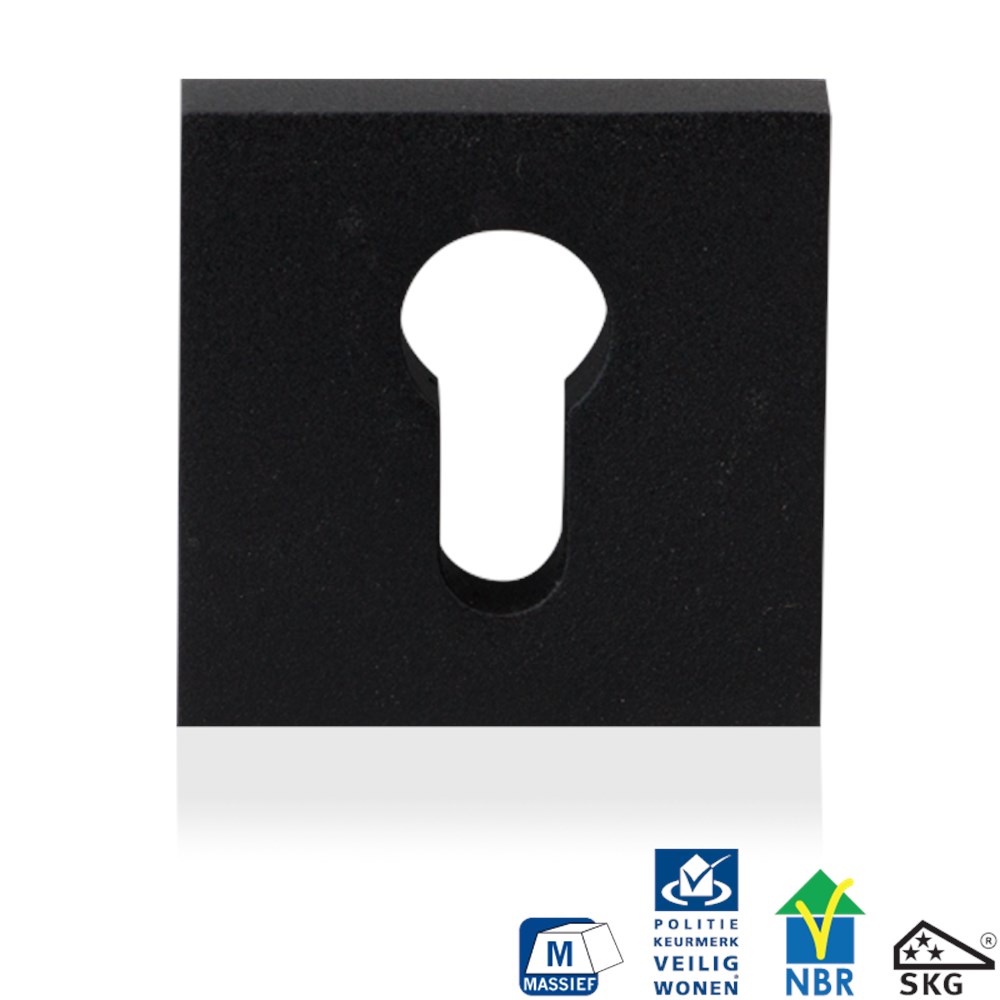 Zwart, Zwart, RVS, PC, Ja, RAL 9005, stuk, Modern, Nee, Veiligheidsbuitenrozet inclusief bevestiging voor deurdikte 40mm en 56mm GPF881361199.png