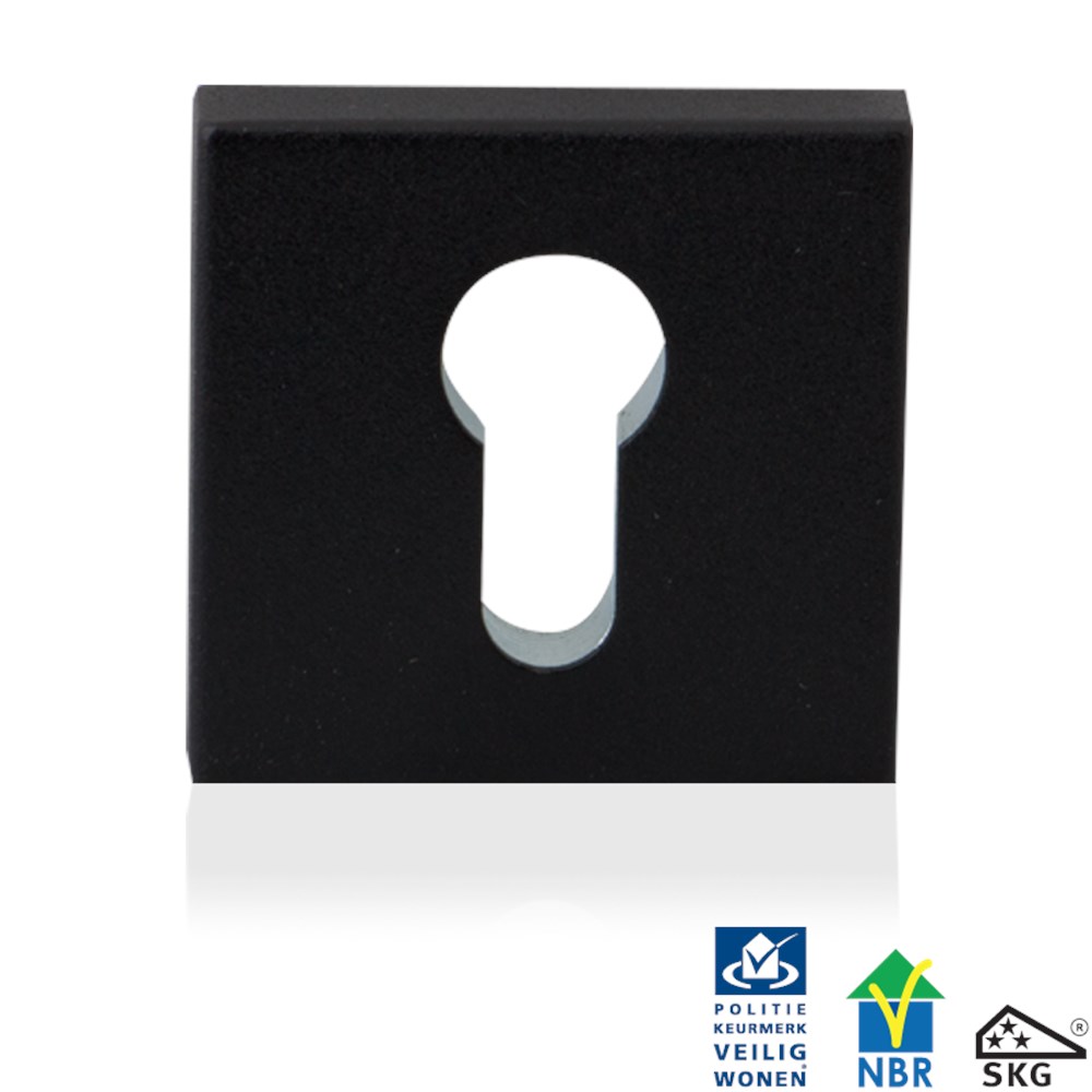 Zwart, Zwart, RVS, PC, Ja, RAL 9005, stuk, Modern, Nee, Veiligheidsbinnenrozet exclusief bevestiging GPF881461199.png
