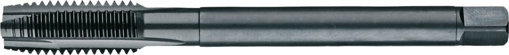 d0441835-6f3b-4762-9ef4-619bf7e96c06.png